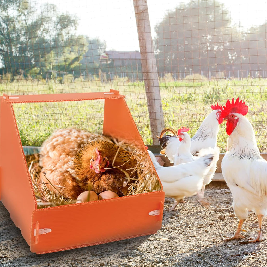6 Pcs Chicken Nesting Boxes, Durable