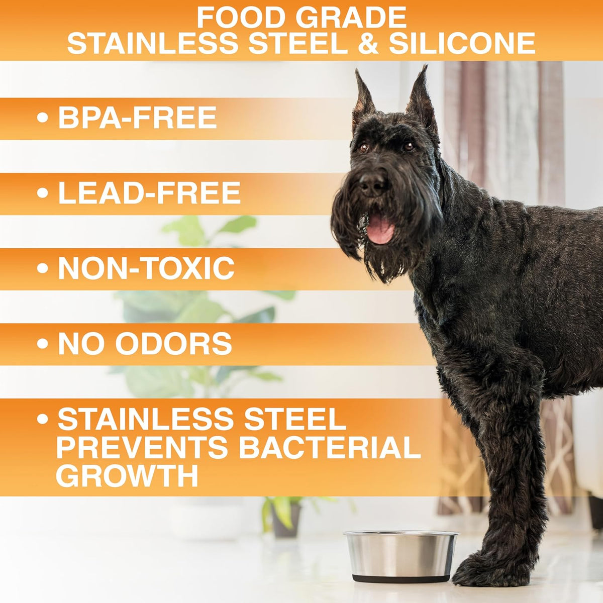 Stainless Steel Dog Bowls with Non-Slip Rubber Bottom – Set of 2, 6 Cup (48 oz), Black - Heavy Duty Metal Dog Bowl