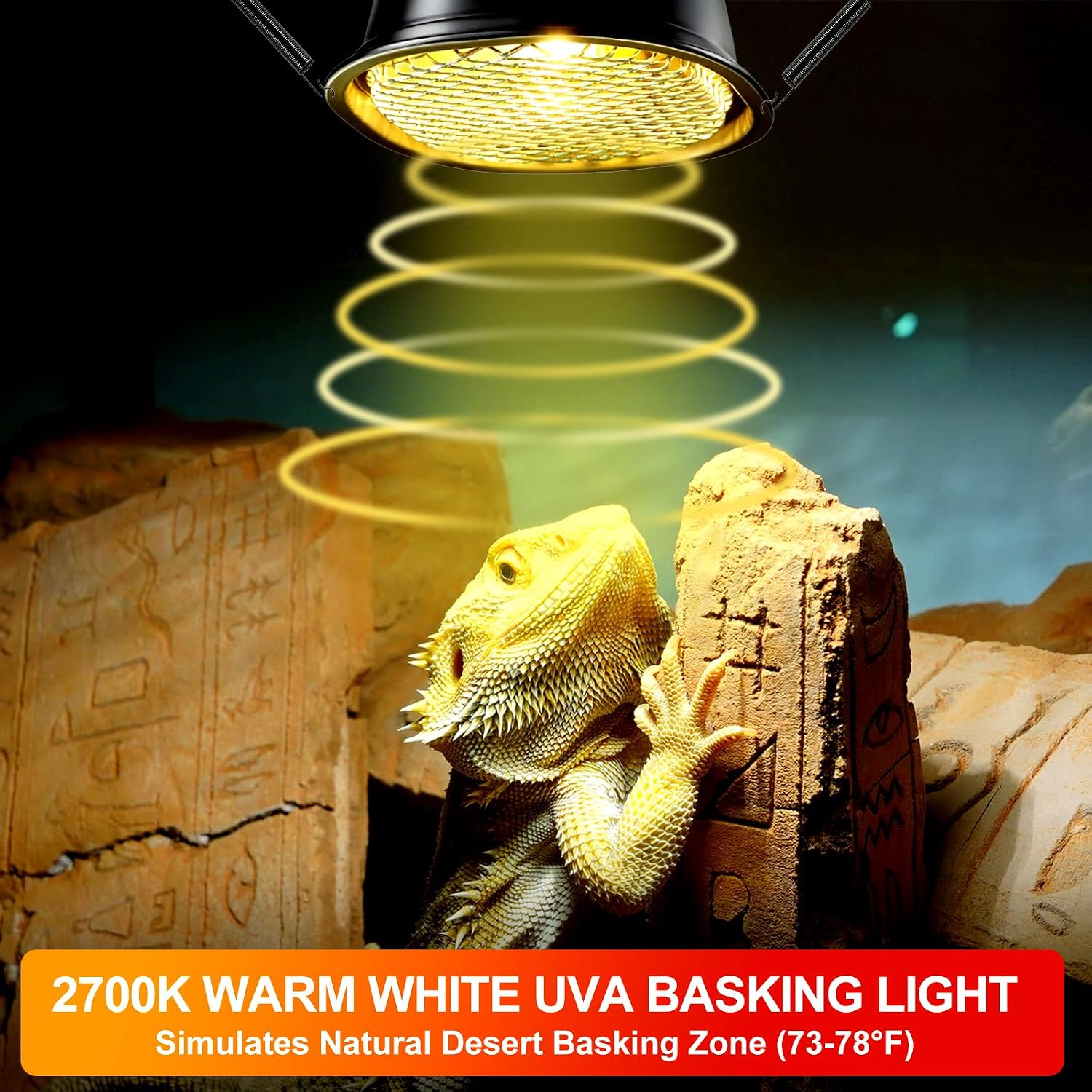 G9 Reptile Heat Lamp Bulb & Reptile Light Fixture with Safety Mesh Kit, 50W UVA Basking Light Fixture for Bearded