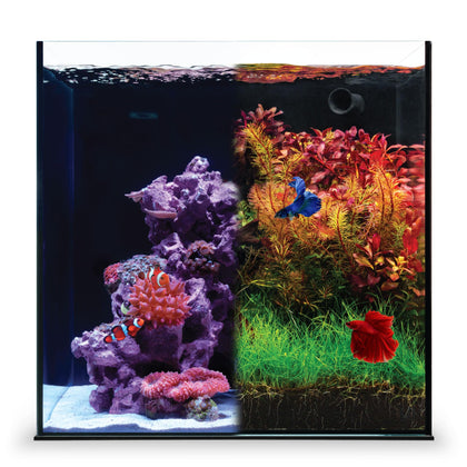 Dual AIO - Freshwater/Saltwater Compatible All in One Rimless Tank with Triple Chamber Filtration System, Integrated