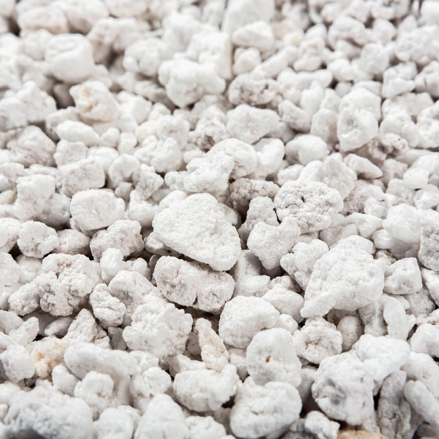 Perlite Bliss (24 Qts) - Organic Perlite for Plants Indoor Soil Amendment - Bulk Perlite for Gardening & Seed