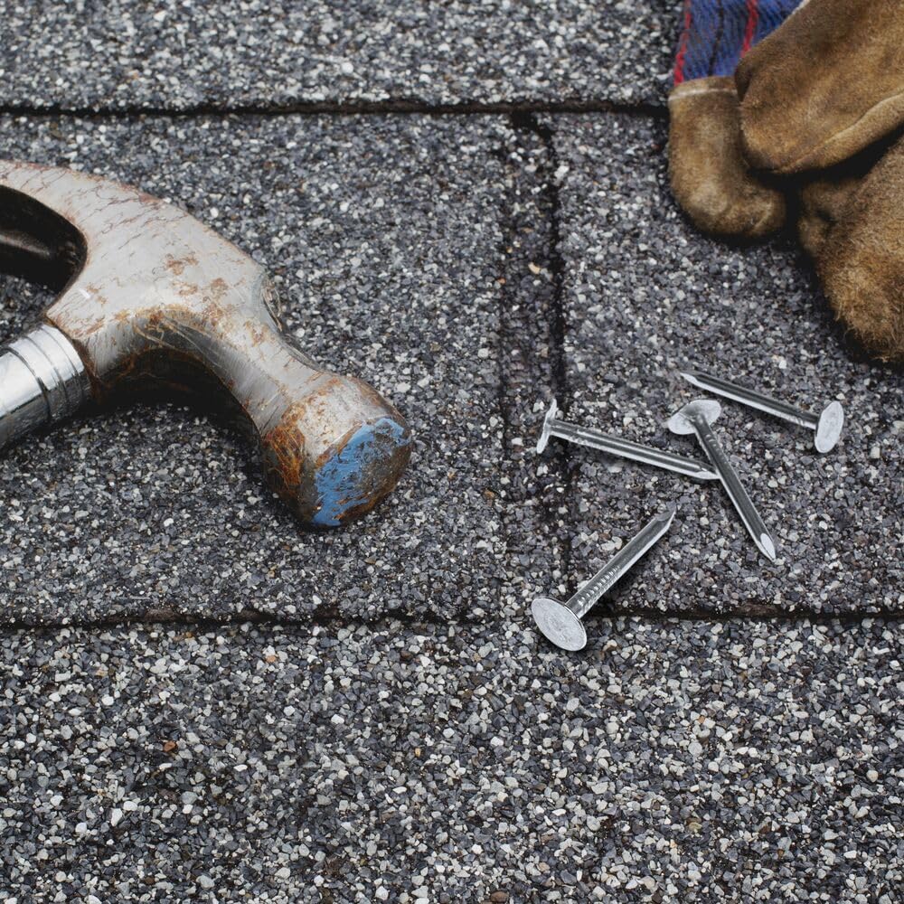 112EGRFG5 1-1/2-Inch Electro-Galvanized Roofing Nail, 5 Pounds