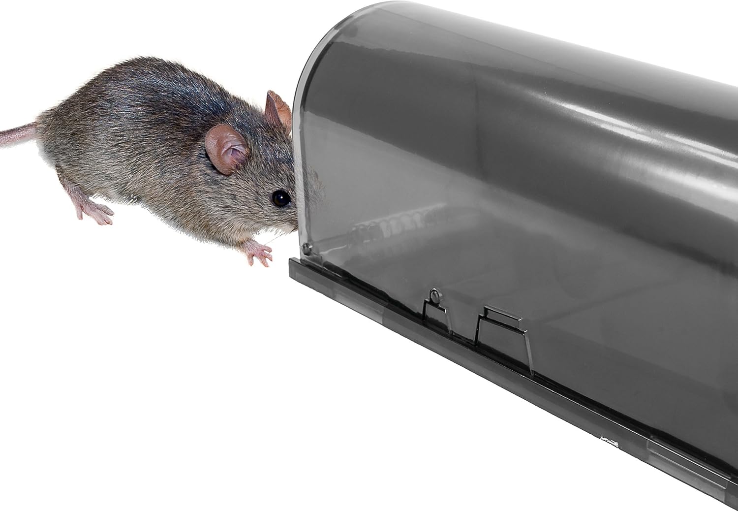 Humane Live Catch & Release Mouse Traps, Set of 2 – Smart Rodent Traps Safe Around Pets & Children