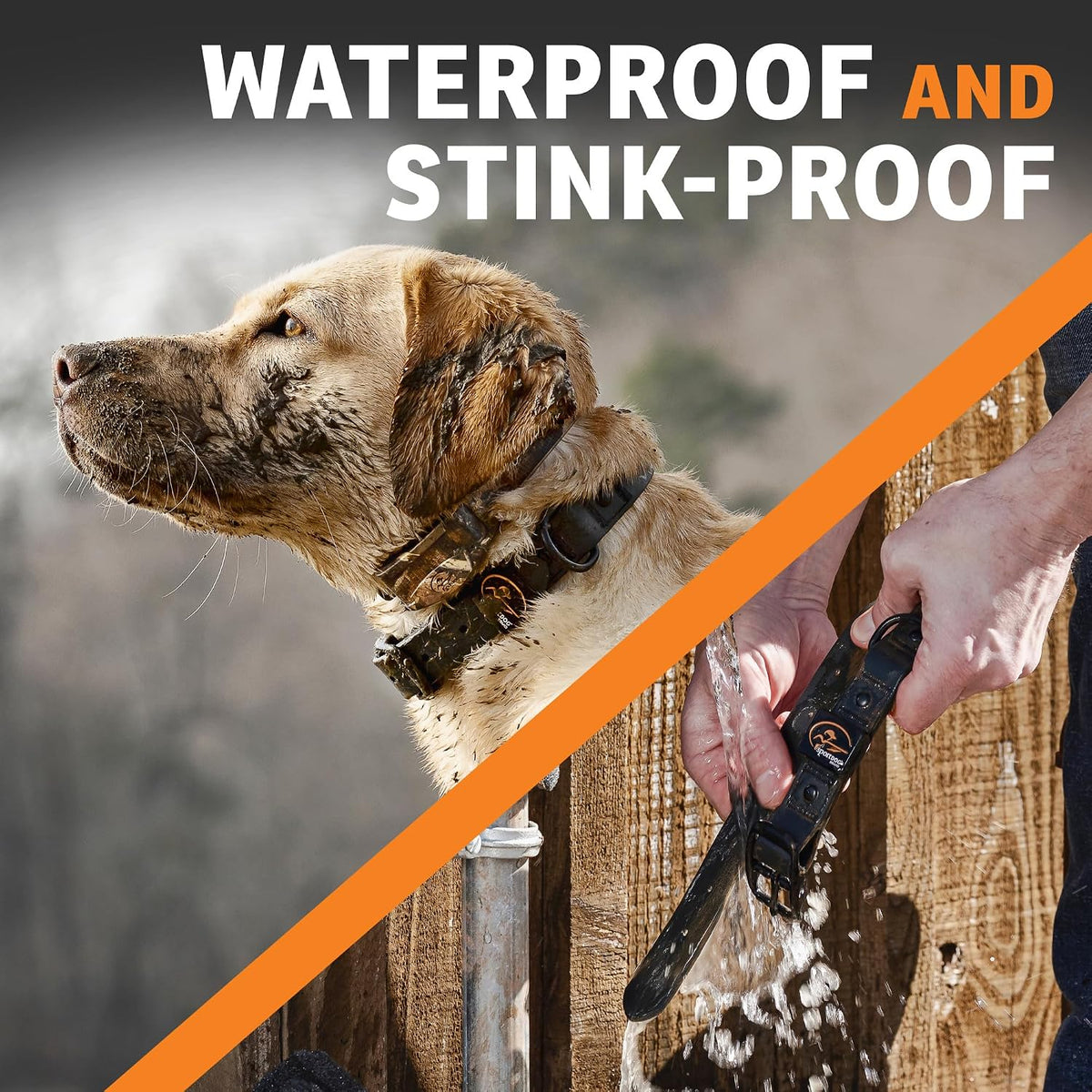 Rugged Utility Dog Collar, Orange, Medium
