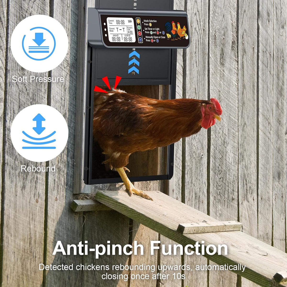 Automatic Chicken Coop Door Solar Powered with Timer & Light Sensor