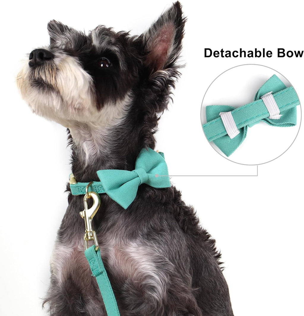 Adorable Small Dog Harness Collar and Leash Set,Cute Puppy Harness Set with 3 Bows for Small Dogs,Shih