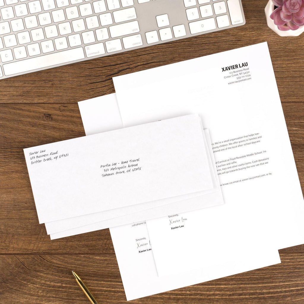#10 Security Business Envelopes Letter Size 4-1/8" x 9-1/2" – Peel and Seal, Privacy Lined, No-Window, Press-It