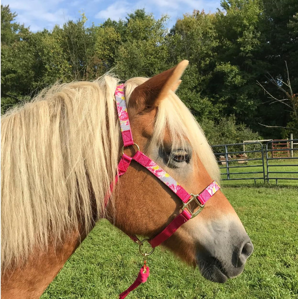 Patterned Nylon Adjustable Horse Halters with Padded Noseband and Matching 10’ Soft Grip Lead Rope with one Year