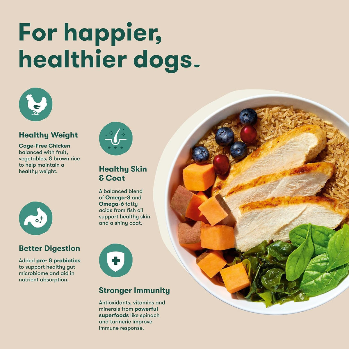 Puppy Dry Dog Food - Real Chicken, Brown Rice & Sweet Potato, 4lb