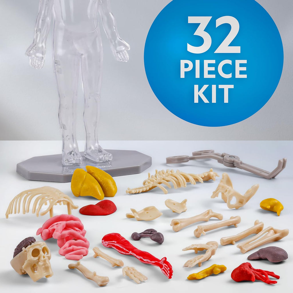 National Geographic Human Body Model for Kids 32-Piece Anatomy Set | Glow-in-the-Dark Bones, Organs & Muscles
