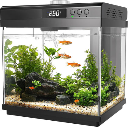 3.7 Gallon Aquarium Starter Kit Small Glass Fish Tank, Black