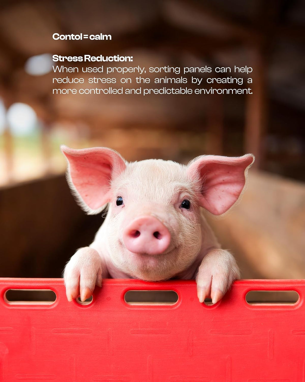 Pig Sorting Board - Livestock Sorting Panel - Cattle Panel, Hog Panels, Mini Pig, Baby Goat Supplies - Show Pig