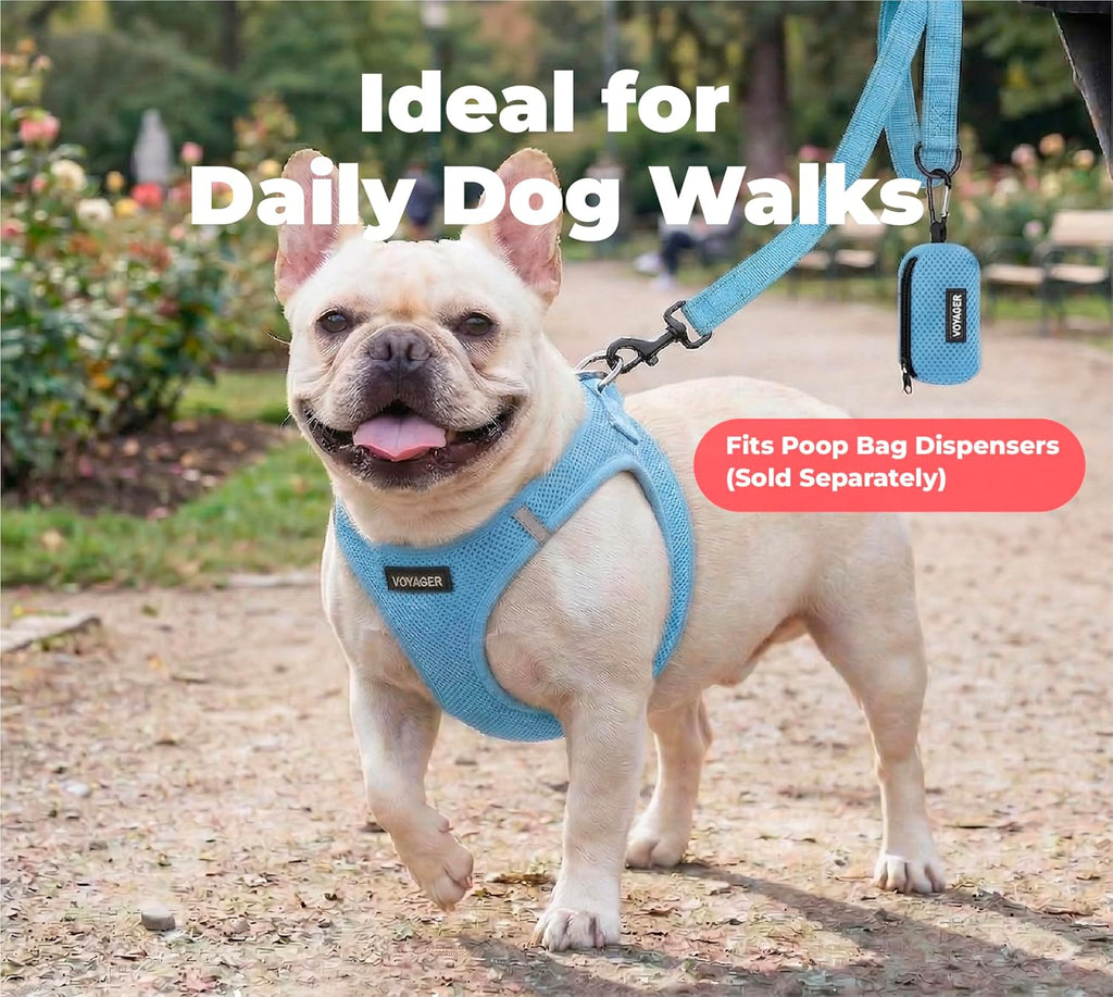 Voyager Reflective Dog Leash or Collar with Neoprene Handle, for Small, Medium, and Large Breed Puppies, Cute and