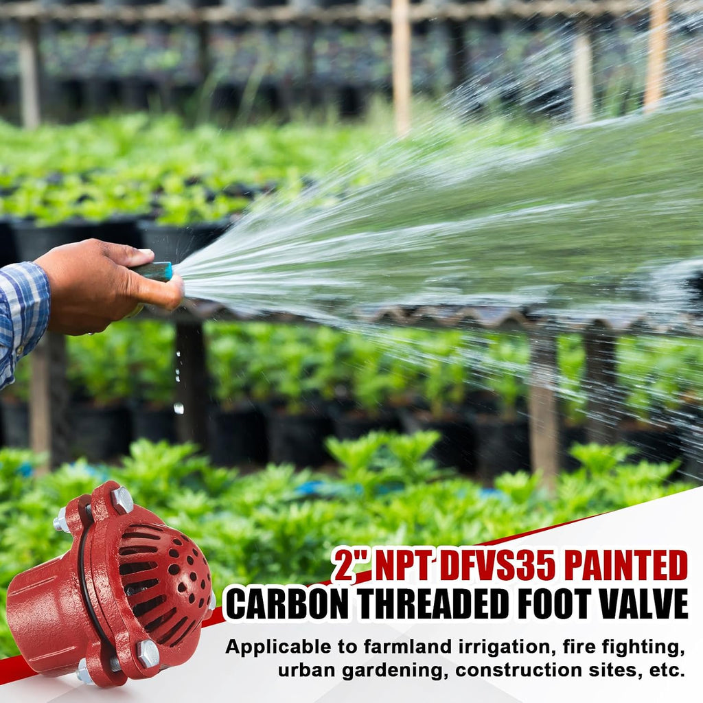 Cast Iron Foot Valve, NPT Threaded Check Valve with Strainer, 2 Inch