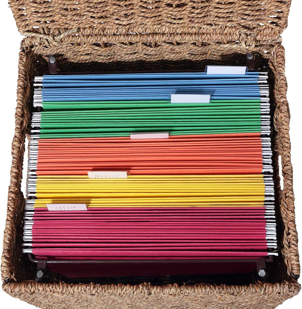 Seagrass File Filing Cabinet File Box Organizer | Collapsible Letter Size Hanging File Box Organizers with Lid |