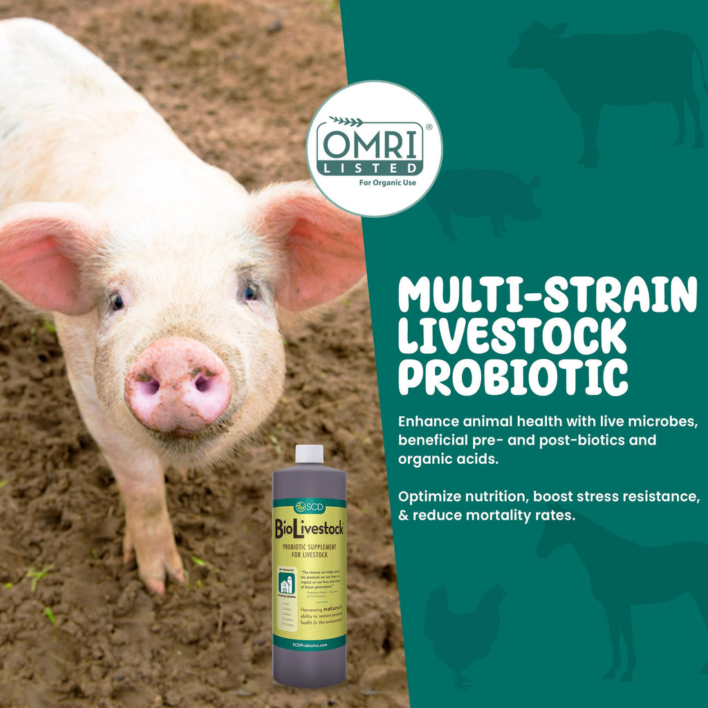 Bio Livestock Probiotic - Digestive Support Liquid - 5 G