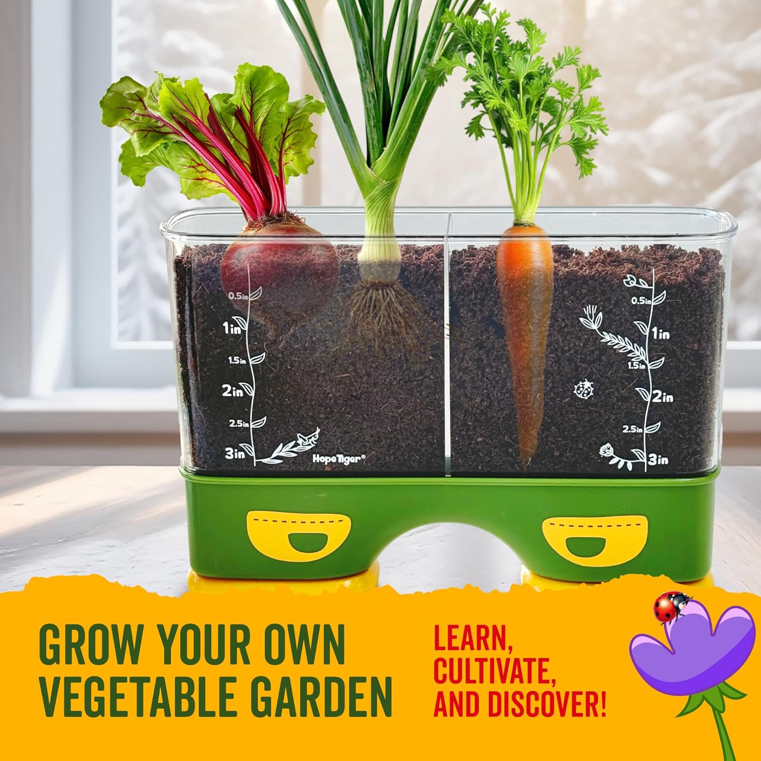 Gardening Root Viewer for Kids - Planting Kits with Seeds & Garden Supplies - Grow Your Own Seed - Home & Classroom