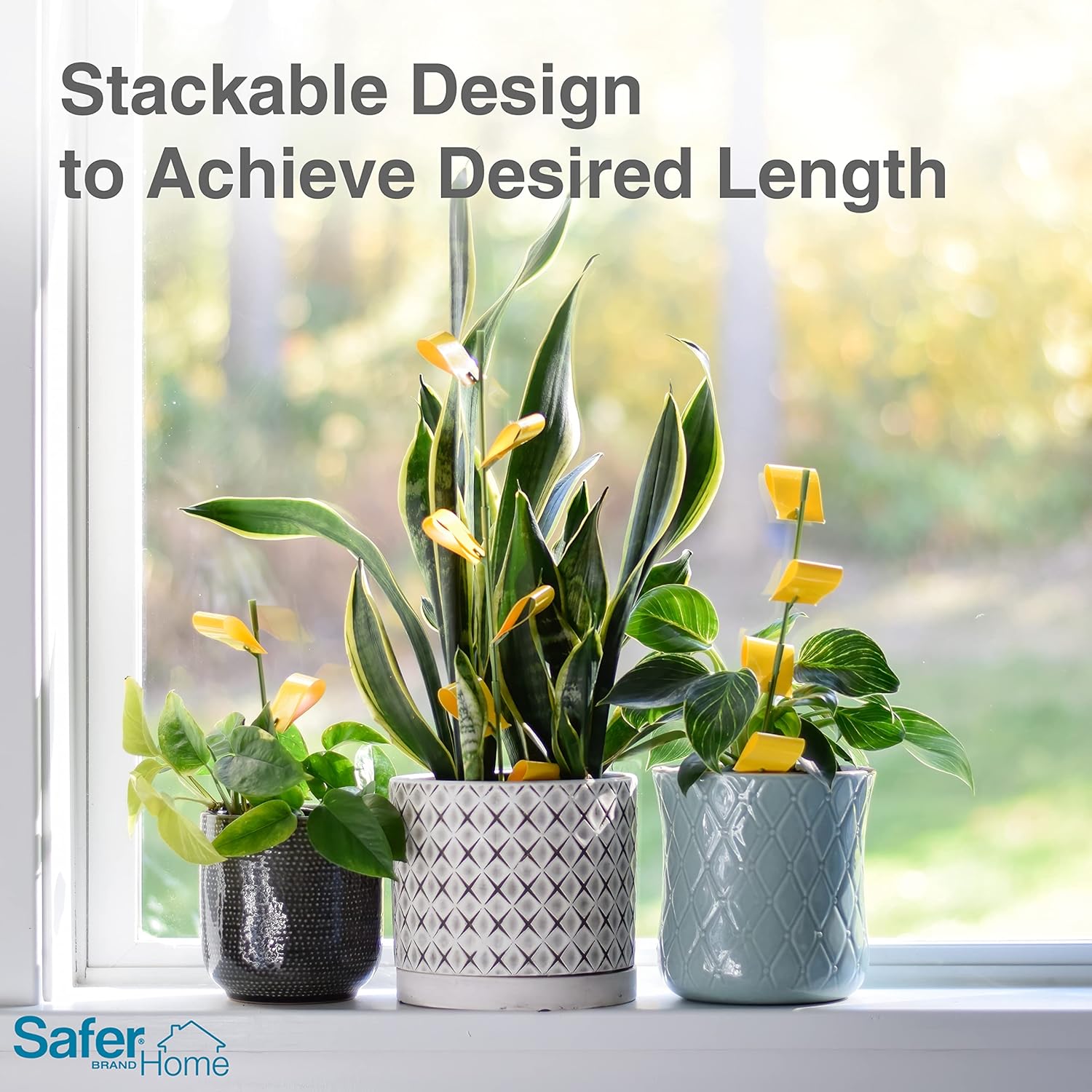Brand Home SH5026 Houseplant Sticky Stake Insect Traps for Indoor Plants - 16 Traps Included - Controls Aphids
