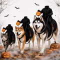 Light-Up Headless Horseman Pet Costume Pumpkin Rider Harness (Black,Large)