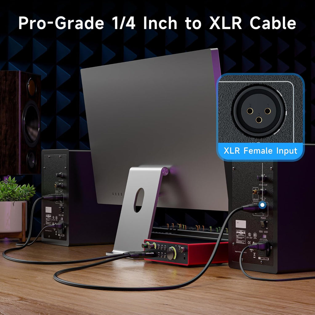 6.35mm 1/4 Inch TRS to XLR Cable, Male to Male, 25ft | XLR to TRS Cable, M-M, Black, Not for Microphone Use