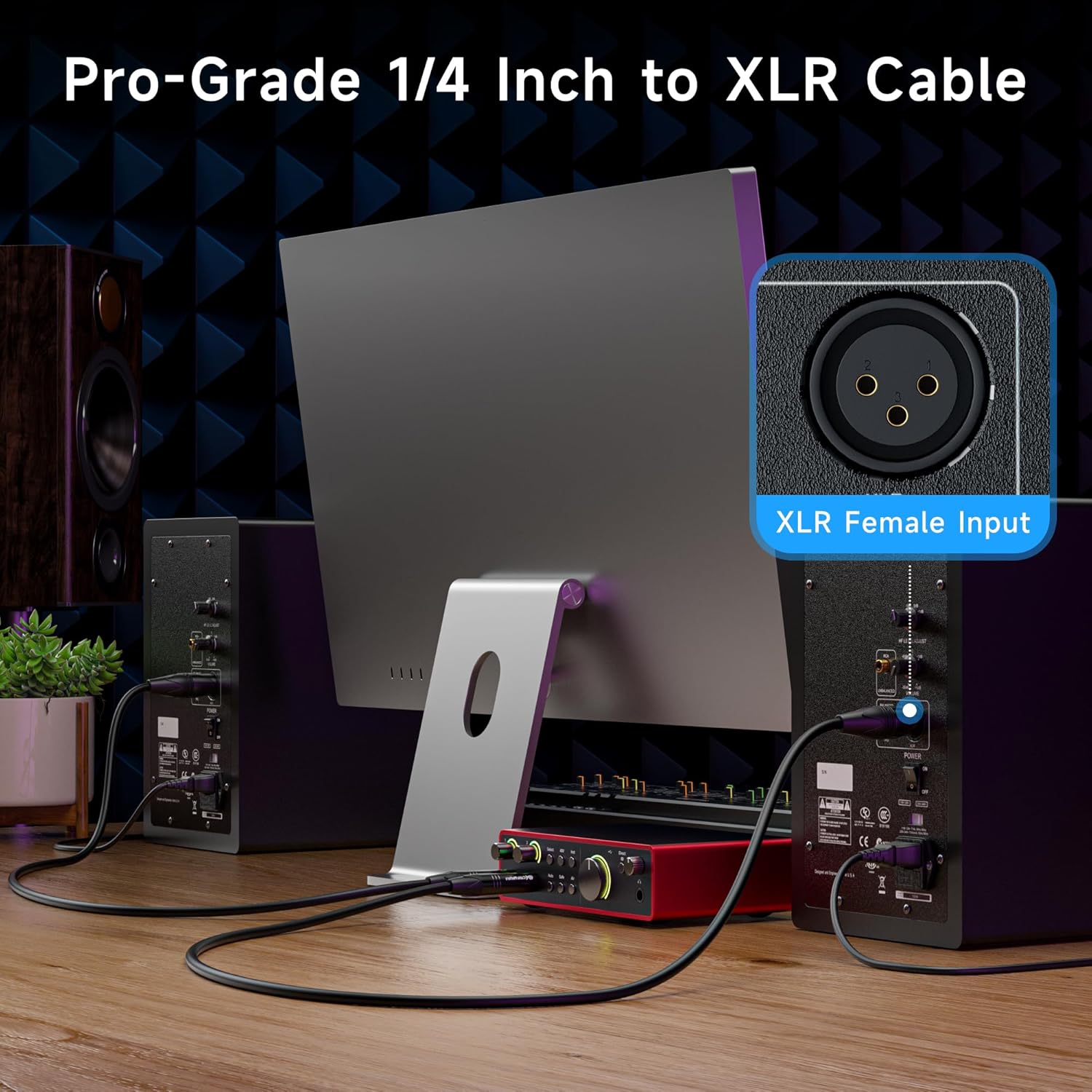 6.35mm 1/4 Inch TRS to XLR Cable, Male to Male, 25ft | XLR to TRS Cable, M-M, Black, Not for Microphone Use