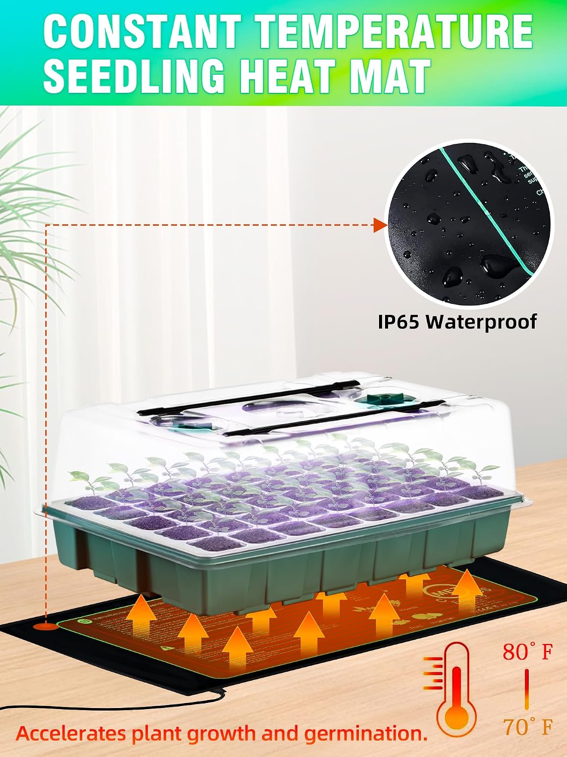 Seed Starter Tray with Grow Lights and Heat Mat, 3-in-1 Soil Meter, 80-Cell Seed Growing Tray, Germination & Plant