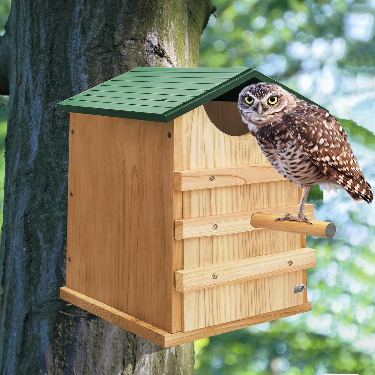 Screech Owl House 13" x 9" x 9", Cedar Wood Owl Box with Bird Stand Design, Owl Nesting Box with Mounting Screws and