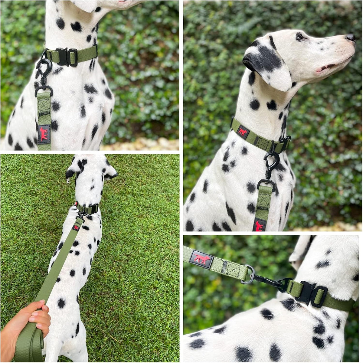 Waterproof Action Collar for Dogs | Heavy Duty Water Proof Dog Collar | Tear Proof & Odor Free | Rust-Proof Metal