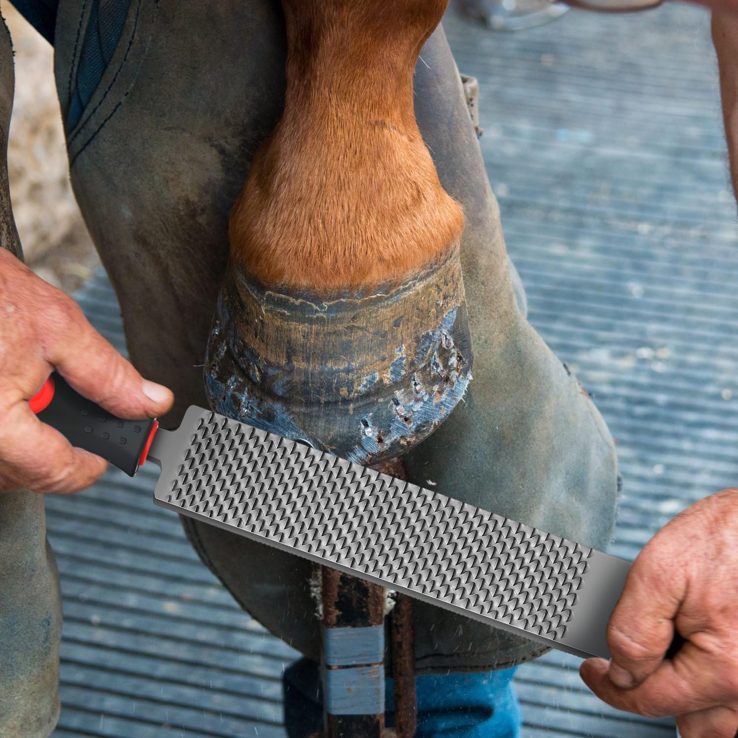 2 Pcs 12 Inch Rasps for Shoeing Horses with Handle Trimming File Carbon Steel Farrier Tools for Repair Horse Goat