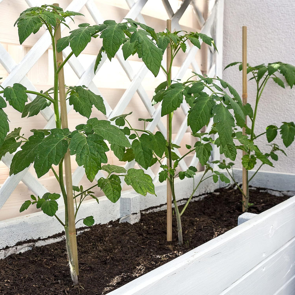 Plant Stakes,18 Inches Natural Garden Bamboo Sticks,BOVITRO 20Pcs Plant Support Stakes for Tomatoes,Beans,Vegetable