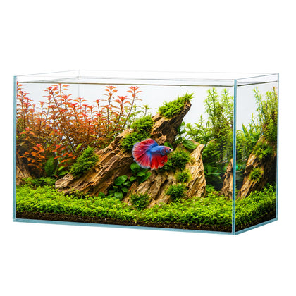 5.5 Gallons Betta Fish Tank, Ultra-Clear Rimless Aquarium