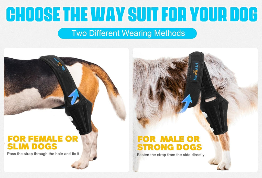 Dog Knee Brace for Back Leg,Cruciate Ligament Care Knee Brace for Dogs Rear Leg, Extral Support ACL Brace,Reduce
