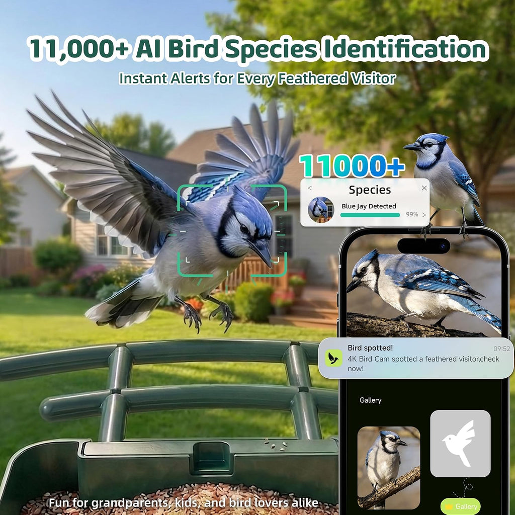 Bird Feeder with Camera, 4K UHD Video Bird House with Camera Solar Powered, No Subscription, AI Bird Species