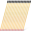 16 Pcs General Purpose Lab Thermometer, Glass, Total Immersion