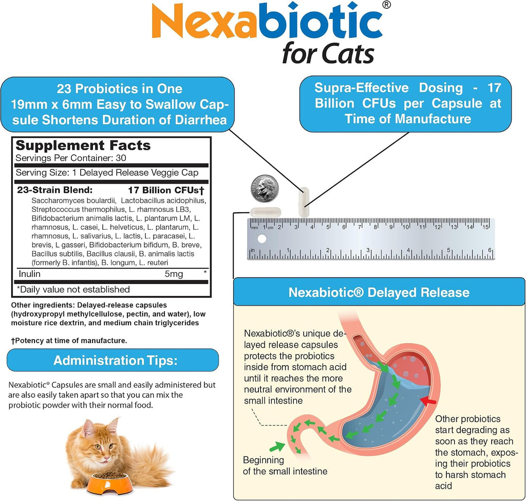 Nexabiotic Probiotics for Cats Powder | Treats Diarrhea for Pets with Saccharomyces Boulardii Lactobacillus