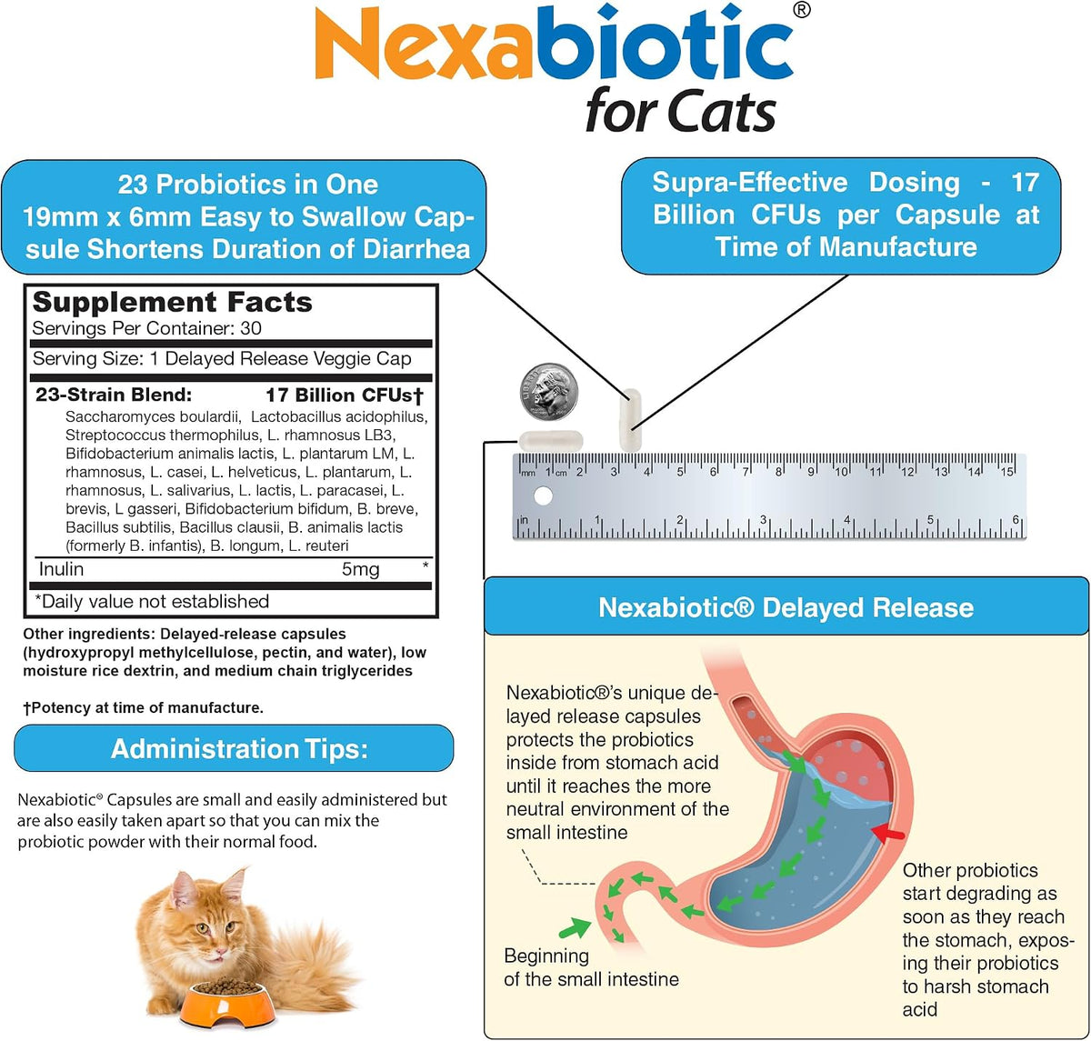 Nexabiotic Probiotics for Cats Powder | Treats Diarrhea for Pets with Saccharomyces Boulardii Lactobacillus