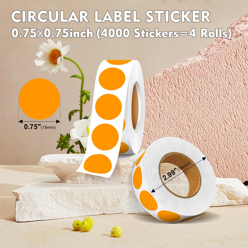3/4" Dot Stickers Round Sticker, 4 Rolls 4000PCS Circle Stickers
