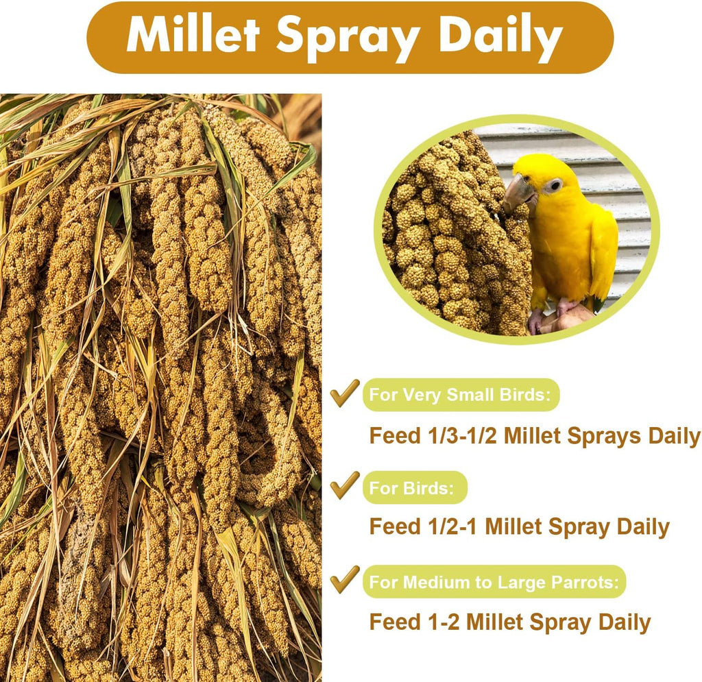 Spray Millet Treat for Birds Parakeets, Millet for Birds, Natural Bird Food | 1LB Healthy Bird Treat for Cockatiels