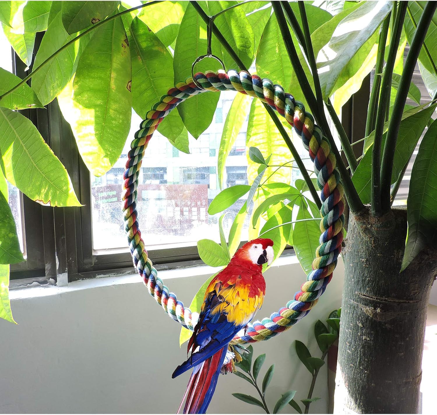 Bird Swing, Cage Hanging Cotton Rope Swing Bite Resistance Perches Boredom Breaker for Budgie, Cockatiels, Conures