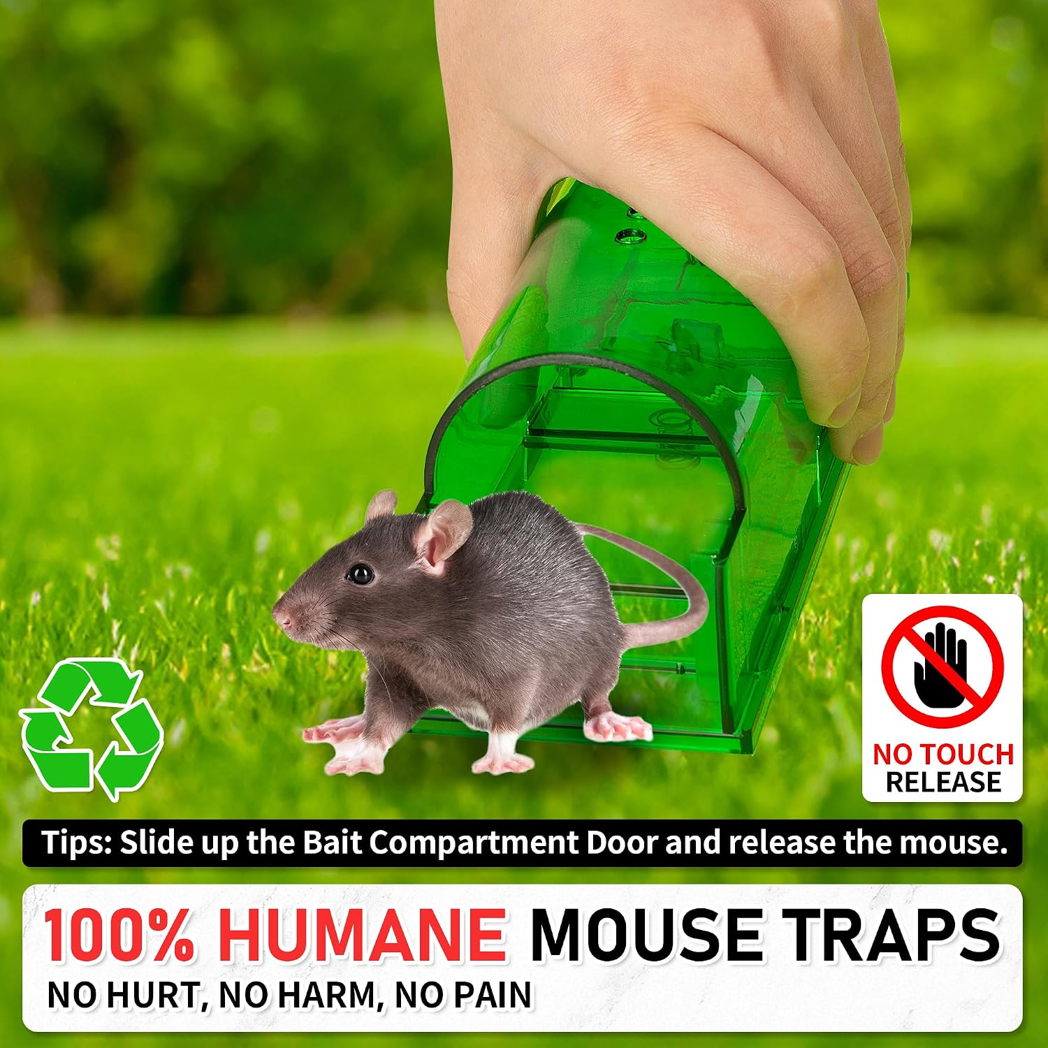 Humane Mouse Traps 2 Pack | Live No Touch Catch and Release No Kill Rodent Traps | Reusable with Cleaning Brush | Pet