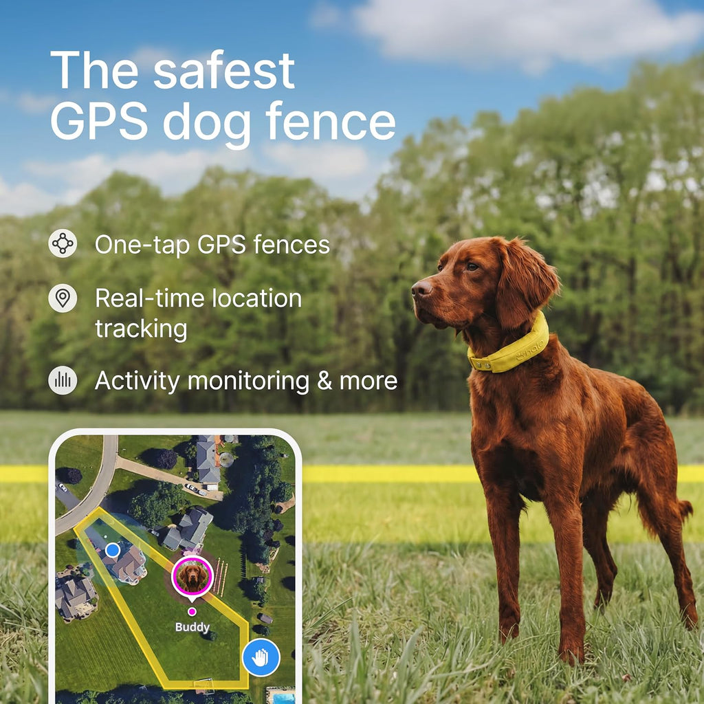 Collar 5 GPS Wireless Dog Fence, Realtree Camo