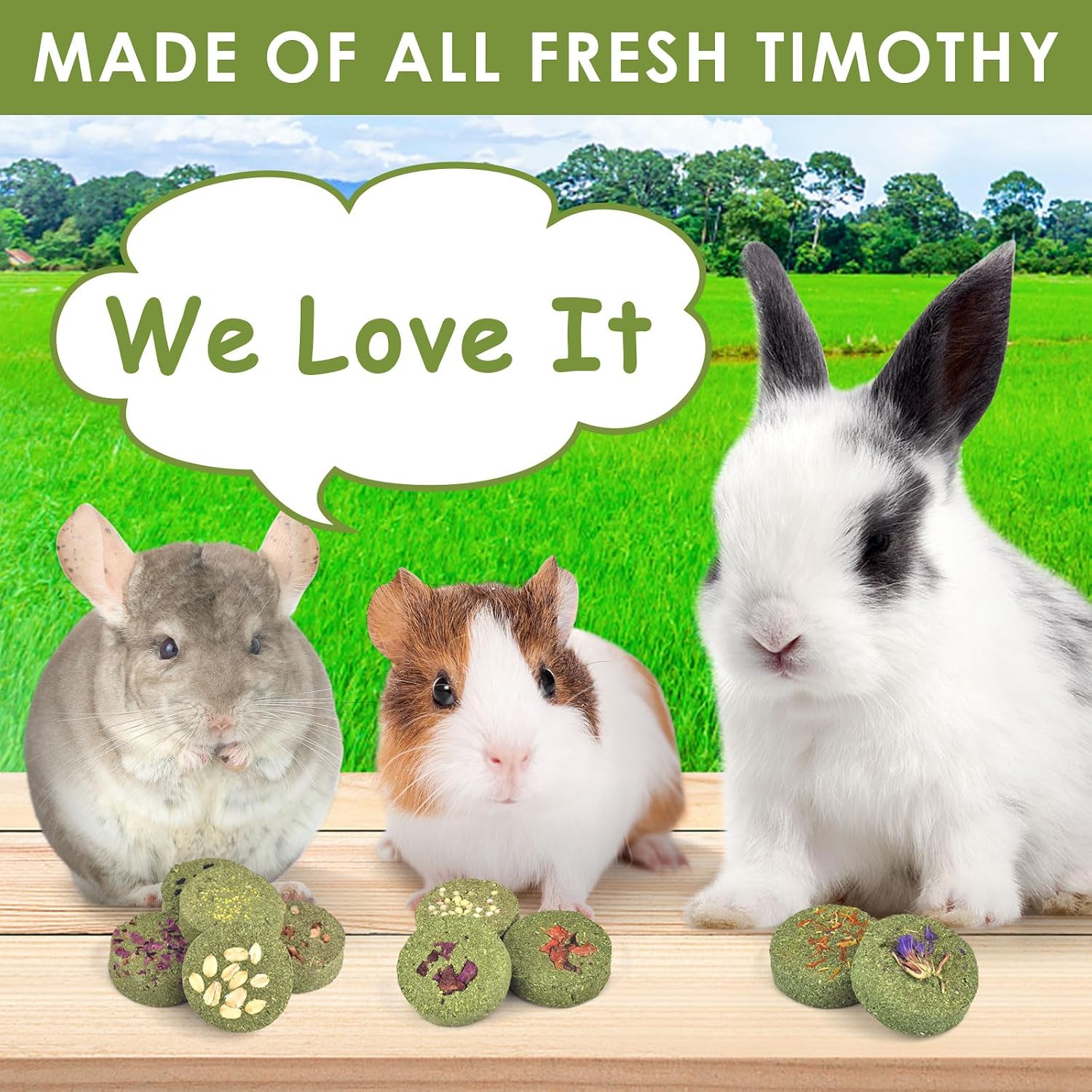 Treats Rabbit Toys, 100% Edible Premium Timothy Hay Chew A Blocks for Rabbits, Chinchilla Treats, Chew Toys for Teeth