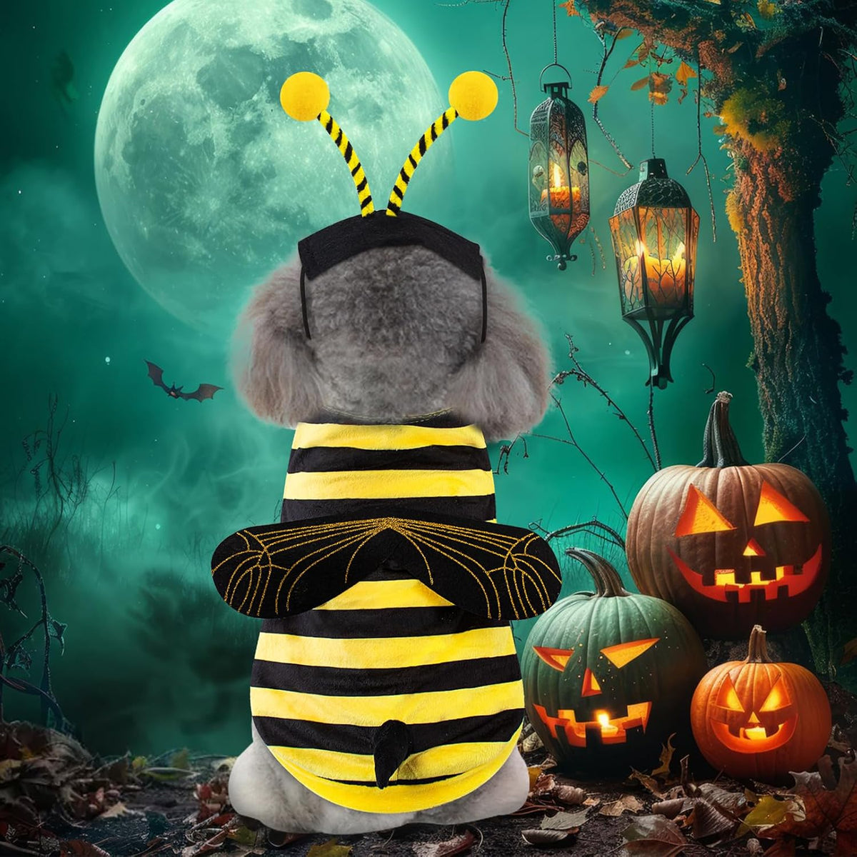 Bee Dog Costume Halloween Dog Costumes for Small Medium Dogs Cats, Bumblebee Pet Outfit with Antenna Hat Funny Pet