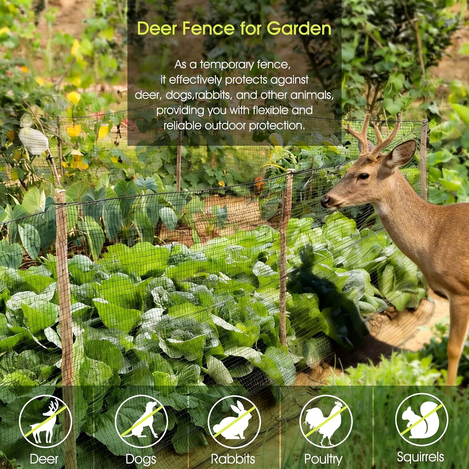 Deer Fence, Temporary Fence for Garden Outdoor Yard, 4 x 50 FT