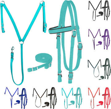 Bridles, Bits & Reins