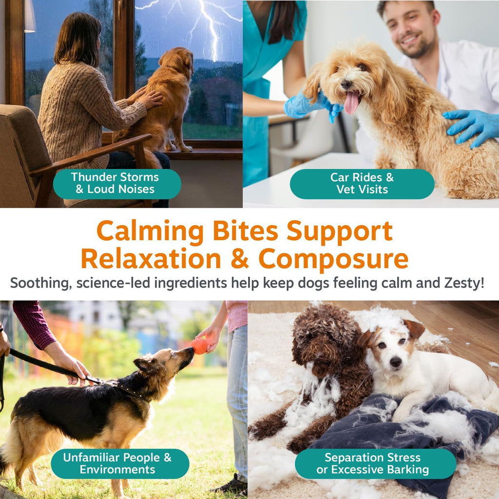 Calming Chews for Dogs - Dog Calming Supplement - Turkey 90ct