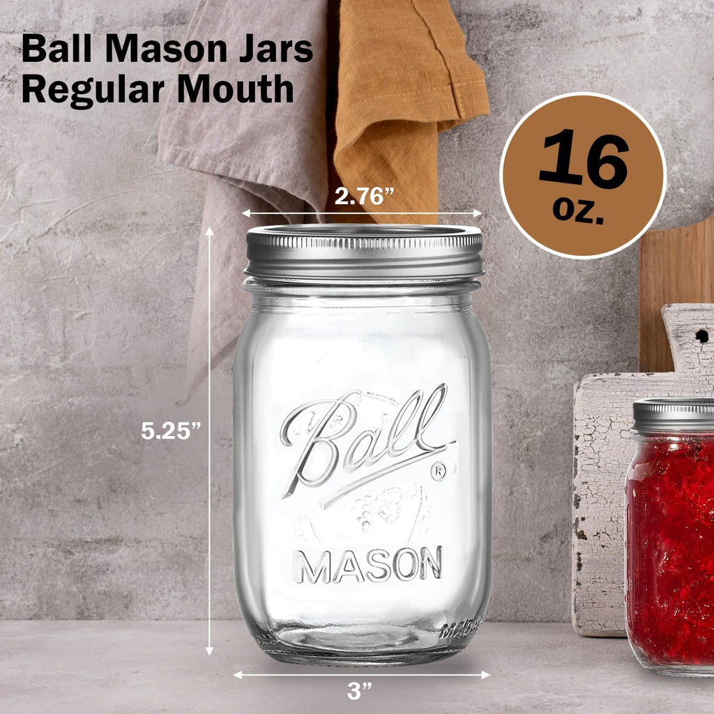 Regular Mouth Mason Jars 16 oz. (12 Pack) - Pint Size Jars with Airtight Lids and Bands for Canning, Fermenting
