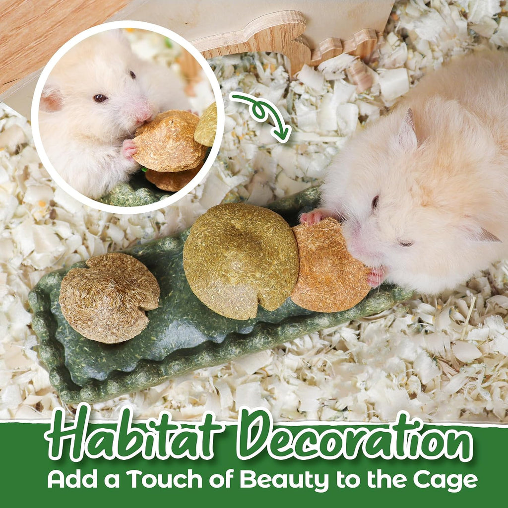 Guinea Pig Chew Toys, Prevent Teeth Overgrowth, Natural Timothy Grass & Vegetables, Hamster Chew Toys, Guinea Pig