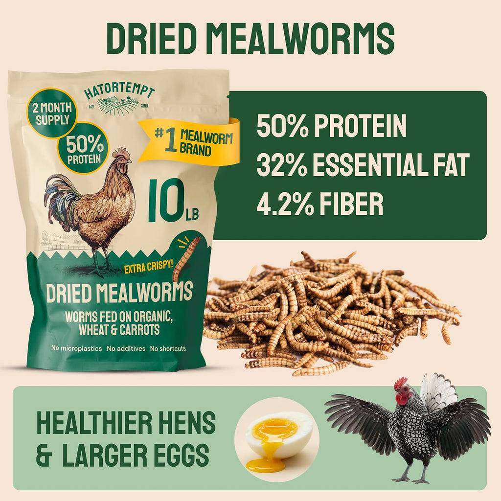 10lb Dried Mealworms for Chickens & Wild Birds, Chicken Feed