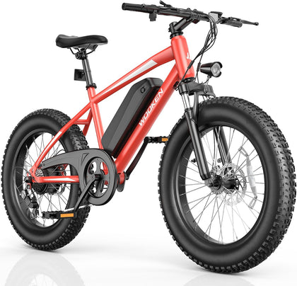 Electric Bike for Adults, 20"x4.0" Fat Tire Electric Bike | 500W Motor Ebike, 48V 499WH Removable Battery, Up to 45